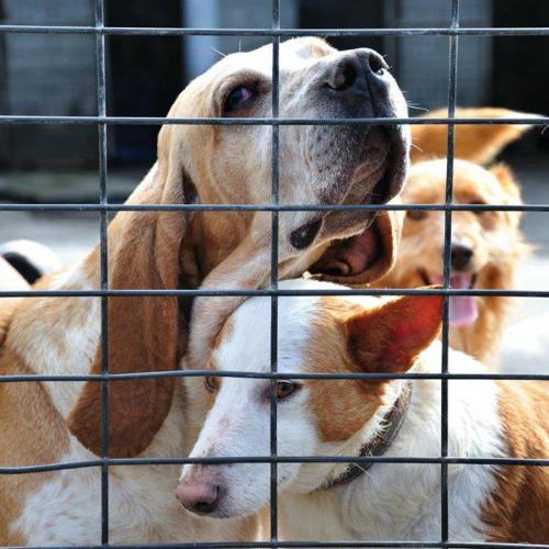 1524738_375011809302296_1972508294_n 1524738_375011809302296_1972508294_n