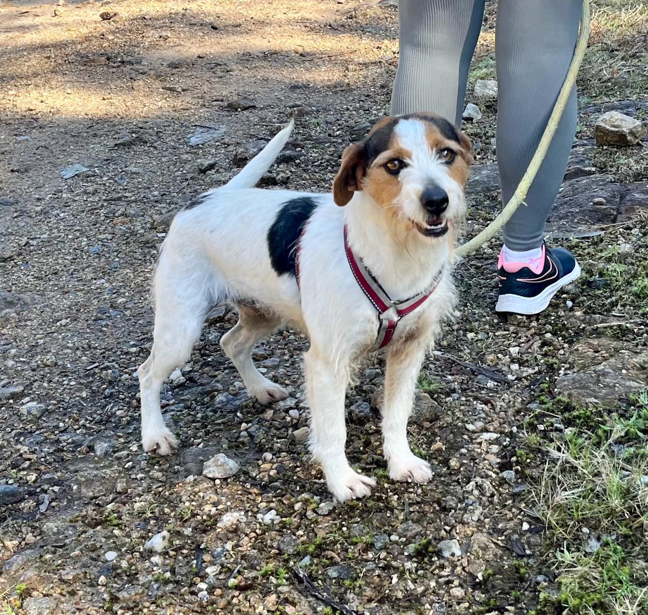 Mari Robin - Imaxe 2