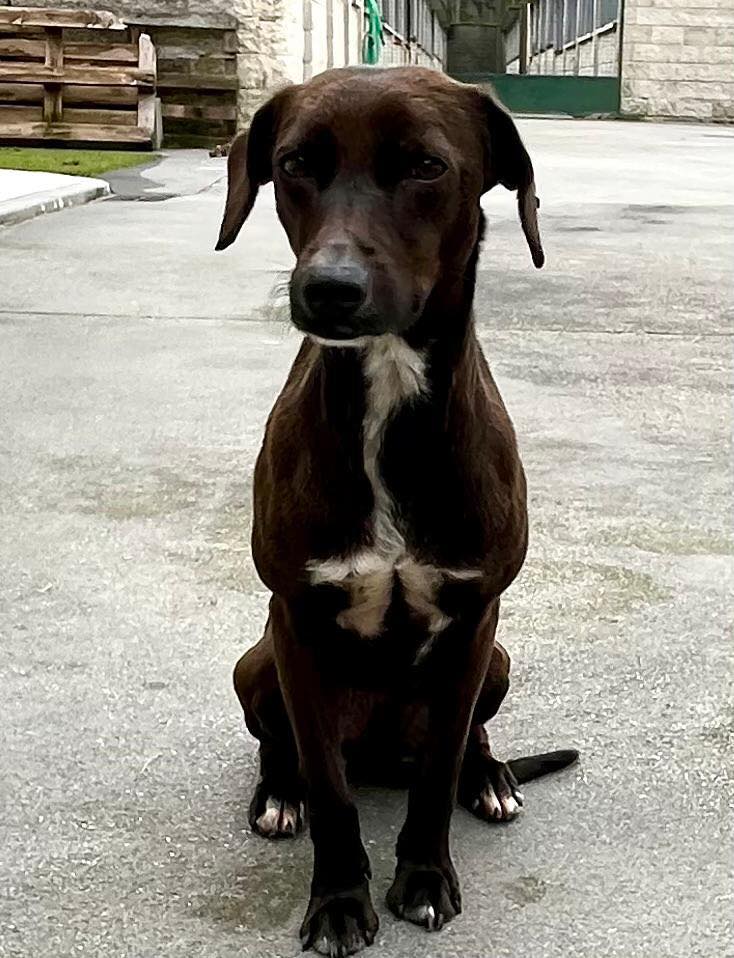 436222410_767105035509867_1221344246115145539_n