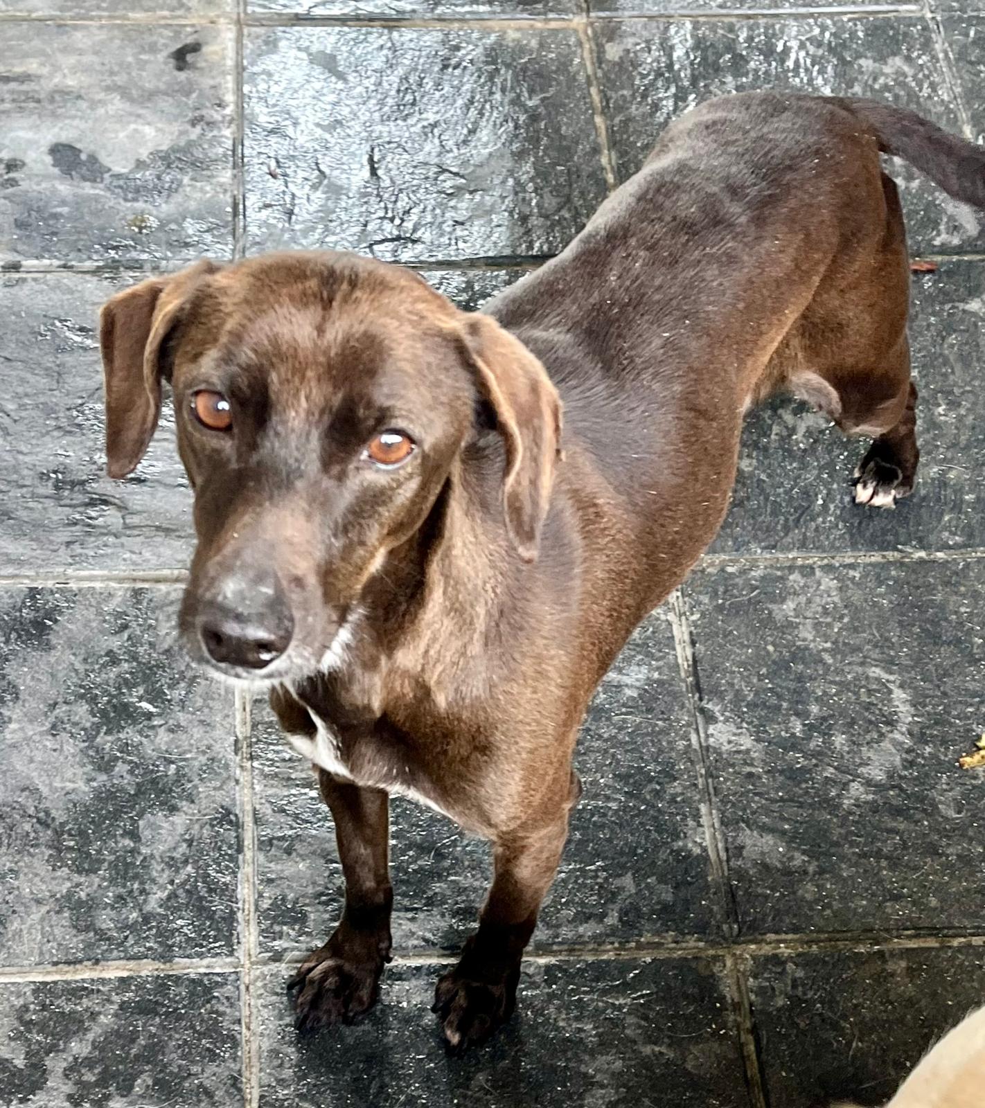 79355736-067f-4d11-b6eb-f4fb0b648bae