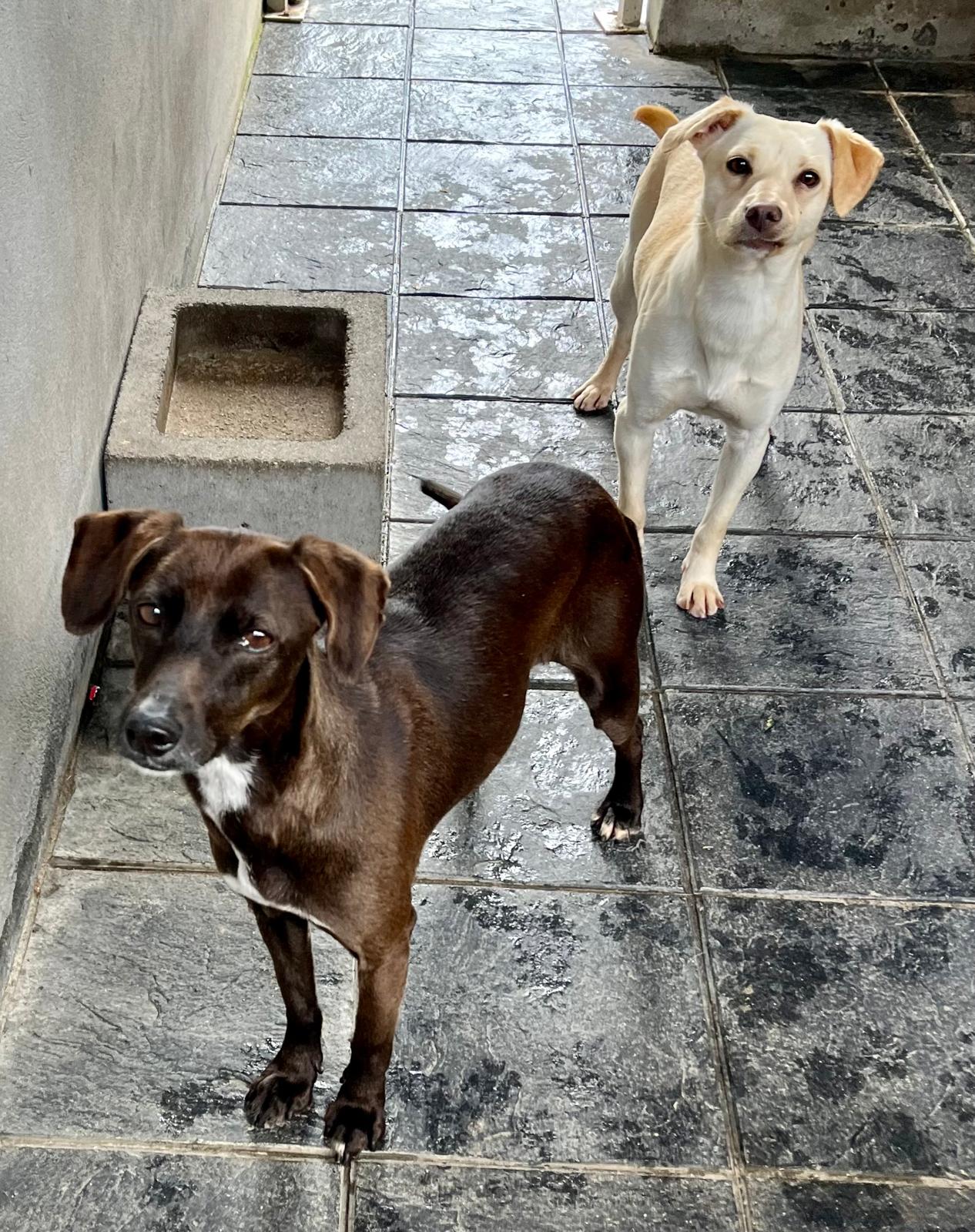 9232ee16-9eb7-4e83-8341-c18a9cd42830